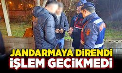 Görevini yapmak isteyen jandarmaya direndi, işlem gecikmedi