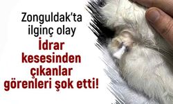 Zonguldak’ta ilginç olay İdrar kesesinden çıkanlar görenleri şok etti!