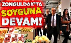 Zonguldak'ta soyguna devam!