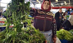 Zonguldak halk pazarında tezgahlarda yer mancarı yer aldı