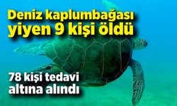 Deniz kaplumbağası yiyen 9 kişi öldü, 78 kişi tedavi altında