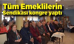 Tüm Emeklilerin Sendikası kongre yaptı