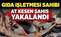 Gıda işletmesi sahibi, at kesen şahıs yakalandı!