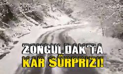 Zonguldak'ta kar süprizi!