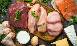 Et Balık Tavuk Ve İşlenmiş Et Ürünleri Malzemesi Alımı