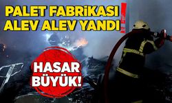 Palet fabrikası alev alev yandı!