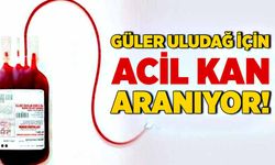 Güler Uludağ için kan aranıyor!