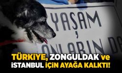 Türkiye, Zonguldak ve İstanbul için ayağa kalktı!
