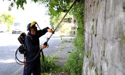 Zonguldak Belediyesi ekipleri temizlik çalışmalarına yoğun mesai harcıyor.