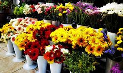 Zonguldak’ta çiçekçilerde Anneler gününe hazırlıklar başladı