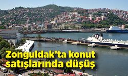 Zonguldak’ta konut satışlarında düşüş