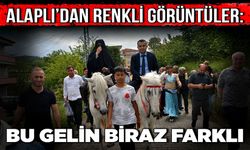 Alaplı’dan renkli görüntüler: Bu gelin biraz farklı