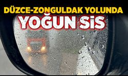 Düzce-Zonguldak yolunda yoğun sis