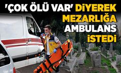 'Burada çok ölü var' diyerek mezarlığa ambulans istedi!