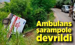 Akrep sokması vakasına giden ambulans kaza yaptı