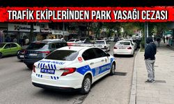 Trafik ekiplerinden park yasağı cezası