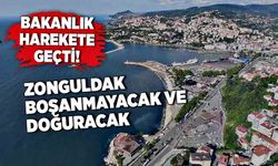 Bakanlık harekete geçti! Zonguldak boşanmayacak ve doğuracak