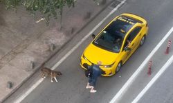 Şişede durduğu gibi durmadı: Alkollü şahıs trafiği tehlikeye düşürdü