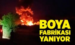 Boya fabrikası yanıyor