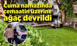 Cuma namazında cemaatin üzerine ağaç devrildi