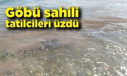 Göbü sahili tatilcileri üzdü