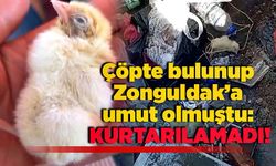 Çöpte bulunup Zonguldak’a umut olmuştu: Kurtarılamadı