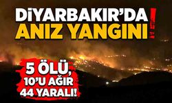 Diyarbakır'da anız yangını! 5 ölü, 10'u ağır 44 yaralı!