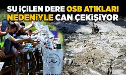 Su içilen dere OSB atıkları nedeniyle can çekişiyor