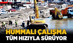 Hummalı çalışma tüm hızıyla sürüyor