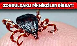 Zonguldaklı piknikçiler dikkat!