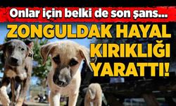 Onlar için belki de son şans… Zonguldak hayal kırıklığı yarattı