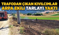 Trafodan çıkan kıvılcımlar arpa ekili tarlayı yaktı