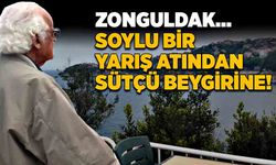 Zonguldak… Soylu bir yarış atından sütçü beygirine!