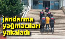 Jandarma yağmacıları yakaladı