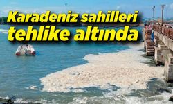 Karadeniz sahilleri tehlike altında!