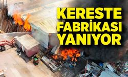 Kereste fabrikasında büyük yangın!  İtfaiye ekipleri alevlerle güçlükle mücadele ediyor
