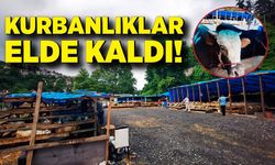 Zonguldak'ta kurban pazarı ilgi yok! Kurbanlıklar elde kaldı...