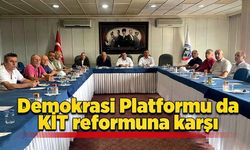 Demokrasi Platformu da KİT reformuna karşı