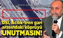 Atınç Kayınova; DSİ, Acılık-tren garı arasındaki köprüyü unutmasın