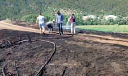 Bolu’da otluk arazide çıkan yangın söndürüldü