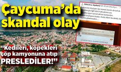 Çaycuma’da skandal olay: “Kedileri, köpekleri çöp kamyonuna atıp preslediler!”