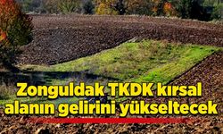 Zonguldak TKDK kırsal alanın gelirini yükseltecek