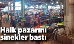 Halk pazarını sinekler bastı