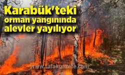 Karabük'teki orman yangınında alevler yayılıyor