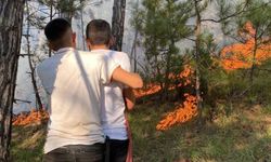 Karabük'teki orman yangını kısmen kontrol altına alındı