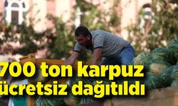 Tarlada kalan karpuz, ücretsiz dağıtıldı