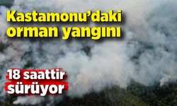 Kastamonu’daki orman yangına 18 saattir müdahale devam ediyor