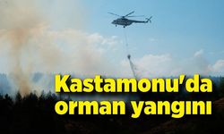 Kastamonu'daki orman yangınına havadan ve karadan müdahale sürüyor