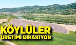 Zonguldak'ta köylüler üretimi bırakıyor