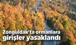 Zonguldak'ta ormanlara girişler yasaklandı